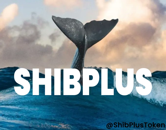 inajang4's tweet photo. It doesn't matter how many #SHIBPLUS you have.
You are already a whale who has been with #SHIBPLUS since the beginning.
Would you also be a whale of #SHIBPLUS?
πππβ₯β₯β₯
#SHIB #reward #MATIC #Polygon #Quickswap #PLUS #PLUSToken #PLUSEcosystem https://t.co/eWGaNAWns0