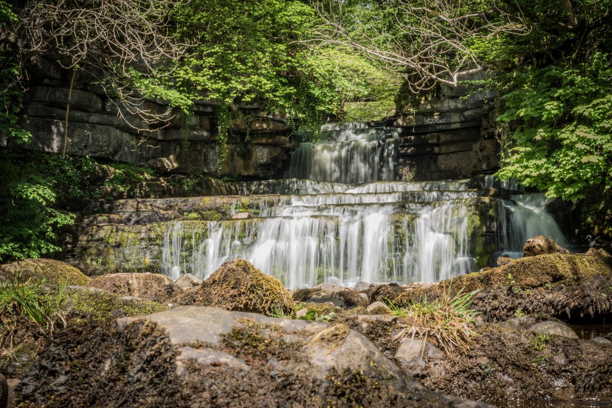 yorkshire_dales's tweet photo. May is #NationalWalkingMonth. Every day we’re sharing one of our favourite #YorkshireDales walks you can #WalkThisMay, continuing with this short walk to Cotter Force that you can do on our free app 👇

https://t.co/0AeTjQCyzD

📸 Andy Kay https://t.co/qM9epjtEbE