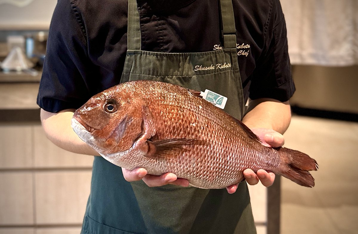 Umitron_EN's tweet photo. 🌊🐟Our sustainably farmed Japanese seabream using AI is making waves in Singapore with Chef Shusuke Kubota from Omakase@Stevens. Served as a rice and chazuke course, it's only available as an add-on until June 15 or until it runs out. Don't miss out on this chance to try it!🌊🐟 https://t.co/gK39QSfssx