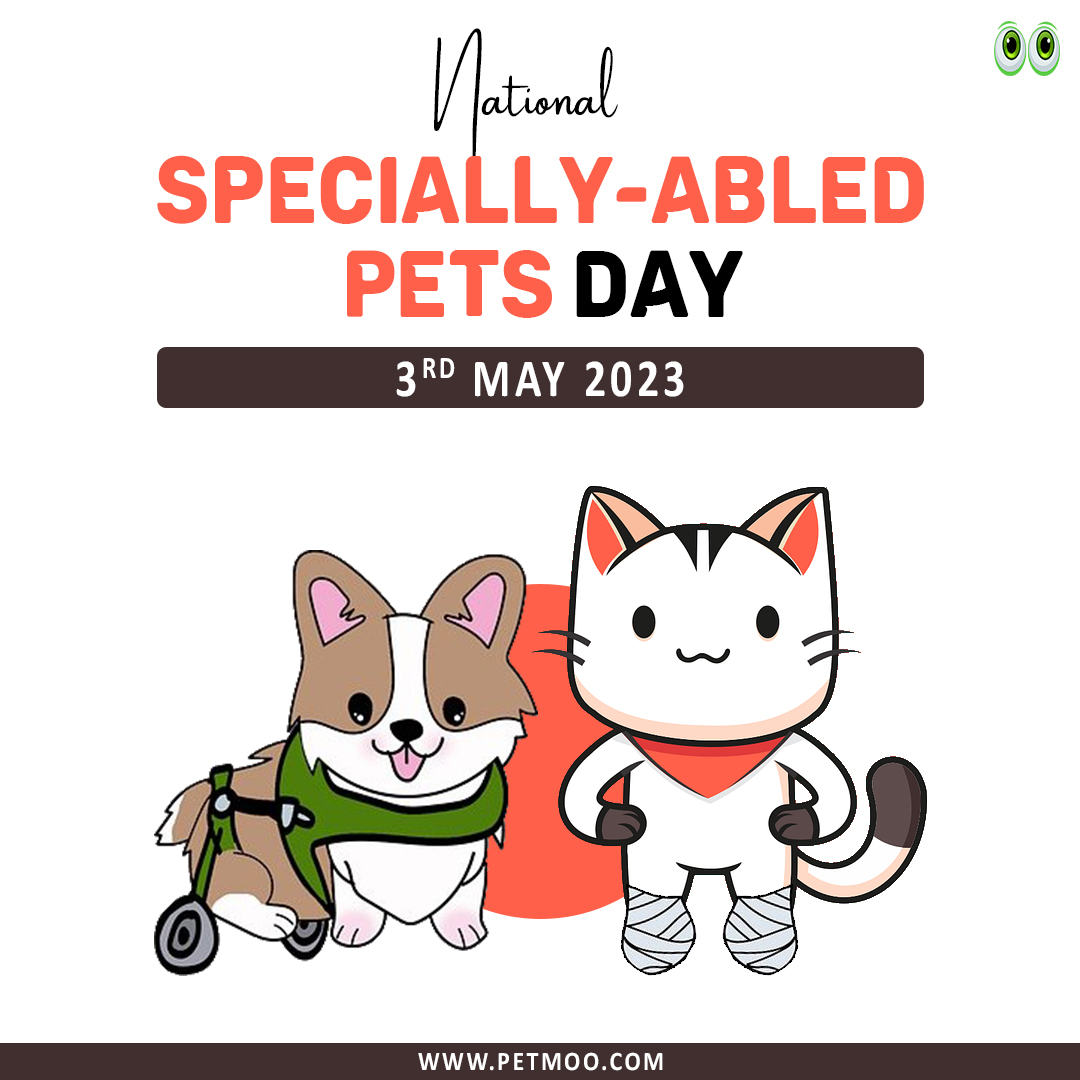 National Specially-Abled Pets Day 2023
#petmoo #pets #dogs #cats #petdays #dogdays #catdays #petowners #dogowners #catowners #catcare #dogcare #petcare #speciallyabledpetsday #speciallyabledpets #speciallyabledpetsrock