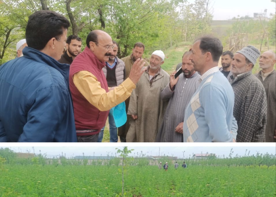 RisingKashmir's tweet image. #Strictly #follow #advisories amid #erratic #weather: #DirAgri urges #farmers

@AgricultureKmr
@JkAgriculture 

risingkashmir.com/strictly-follo…