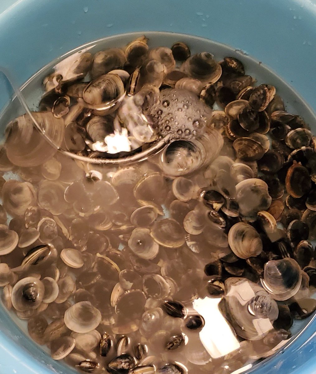 ４月は3回潮干狩り行ってきた！
今年は原木側も行ってみたいな！
あとコットに被せる？テント買ったからタープでキャンプもしたい！
頼むから2連休くれー！もう３ヶ月連休ないんですけどー！