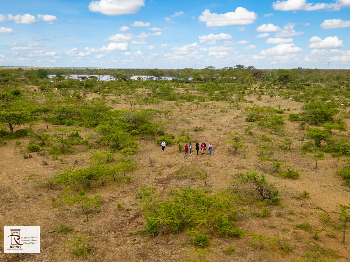 RiccoHomes's tweet photo. #landforsale in RUMURUTI💰 with grafted avocado seedlings.
Ideal for farming with Water source next to it
KES 399,000 per acre inclusive ;
✔️Drip irrigation system
✔️120 well hardened grafted hass avocado 🥑 seedlings
✔️Ready export ✈️ market

#riccohomes
#plots
#farmingland https://t.co/ySgQPVgEq4