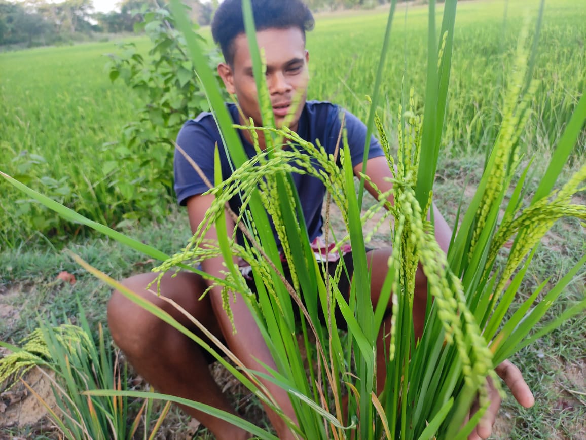 DeHaatTM's tweet photo. Investing in quality seeds can make all the difference in crop yield &amp; quality. Our superior agri-input products also help the crops reach their full potential. 

Here is a satisfied farmer showing his crop growth after using DeHaat starter products.

#qualityinputs https://t.co/aVMahMoVCc