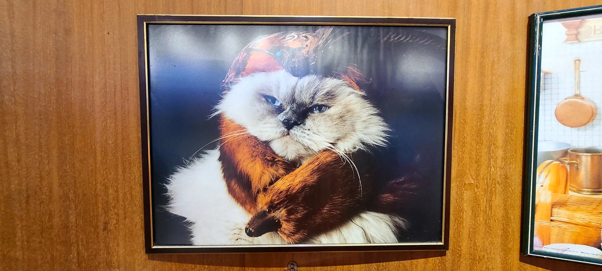 Hobletsonthego's tweet image. We thought we&apos;d check out the Cat Museum in Kuching, Malaysia. Somewhat quirky and home spun, with some sketchy taxidermy. Love it! #sarawak #kuching #catmuseum  #malaysia