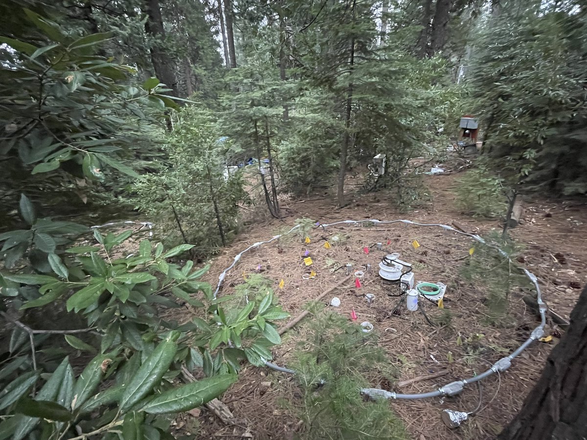 WiesenbergG's tweet photo. Understanding #SoilWarming is important to extrapolate #ClimateChange on soil feedbacks. However, ist is s challenge to conduct such experiments in mature forests, such as #BlodgettForest maintained by #LBL by @ElainePegoraro, Margaret Torn and colleagues. https://t.co/XCXivcx4on