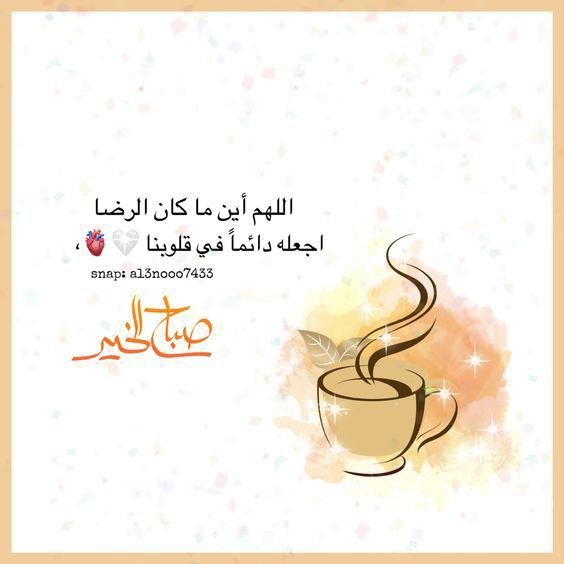 ✨منال✨ tweet media