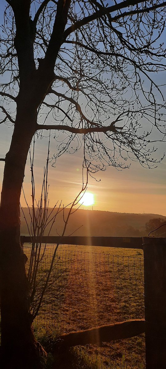 JC EARLY SUNRISES tweet media