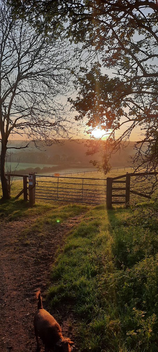 JC EARLY SUNRISES tweet media