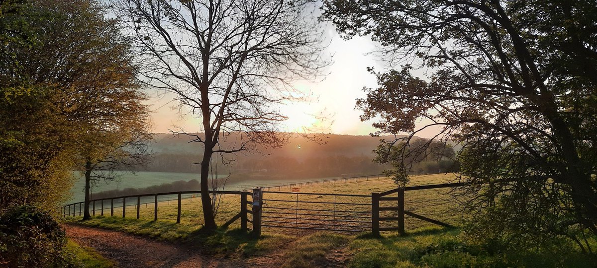 JC EARLY SUNRISES tweet media