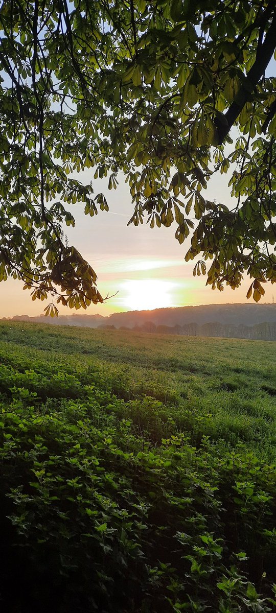 JC EARLY SUNRISES tweet media