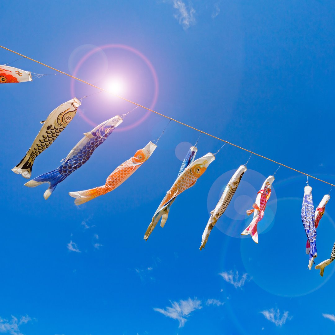 tosaplus's tweet photo. 🎏こどもの日🎏
本日5月5日はこどもの日ですね！
こいのぼりを揚げ、五月人形やカブトを飾り、ちまきや柏餅を食べるのが古くからの日本の風習だそうです📷
青空に泳ぐこいのぼりは気持ちを明るくさせますね！ https://t.co/4zgqKIb7NG