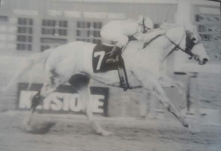 HORSERACING1002's tweet photo. OLD DUNK 🇺🇸 1974
(COPY CHIEF - FIZZ MIST BY GREY GHOST)#OldDunk
B John H. Bell (Ky) Apr 1, 1974 Horse
O Ruth Unger
T Marie Chartrand
61-16-6-10--$100,532
3rd Autumn Leaves Handicap
Sire Memories N' George https://t.co/bexUpyDXIq
