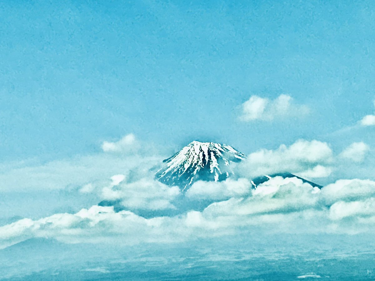 theo0919's tweet photo. 新幹線から見る富士山、今日はひときわ美しい🥹✨✨
#新幹線なう #富士山 https://t.co/Q3FsHDOGsr