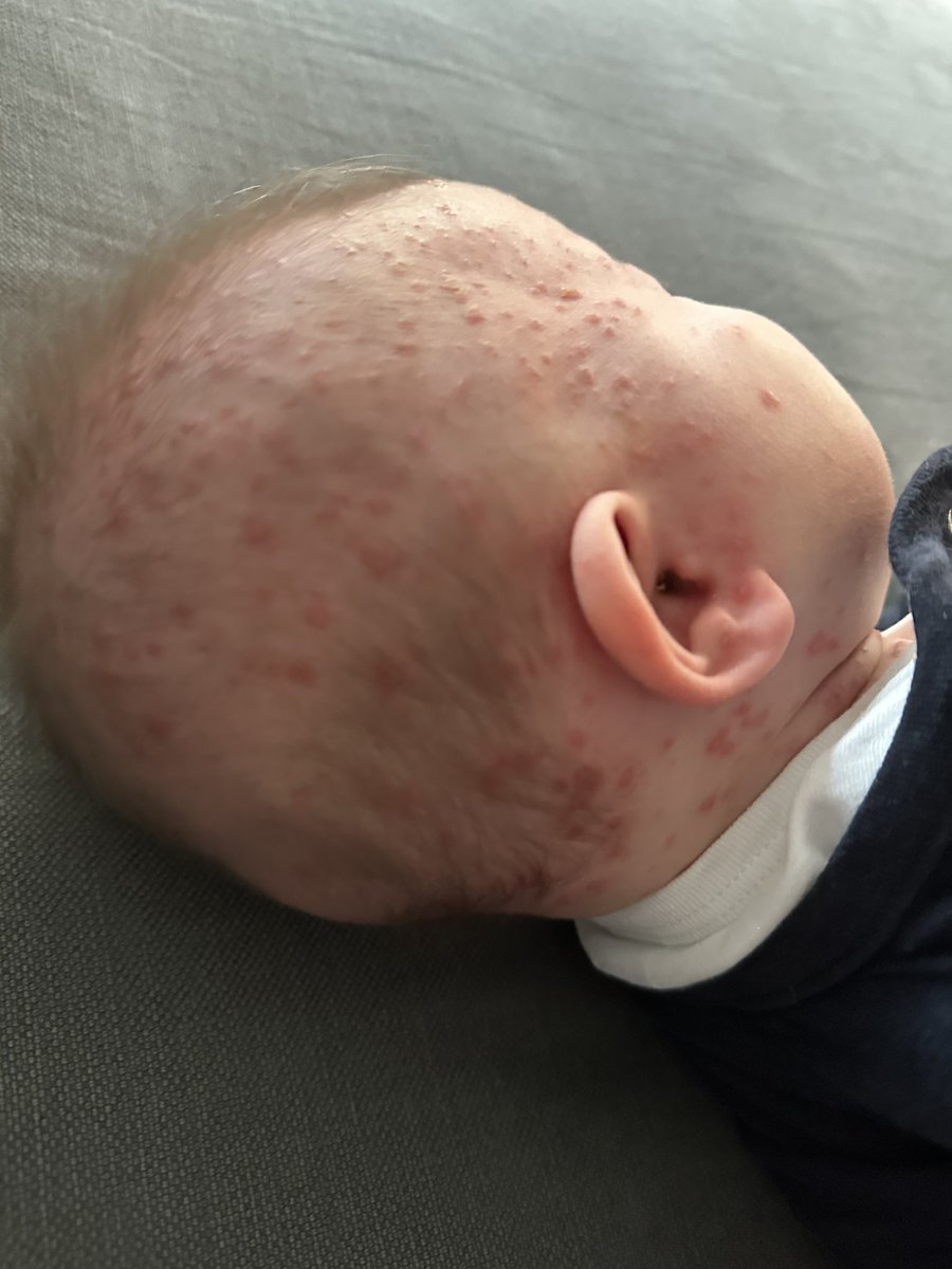 Doc’Seb 🍒 tweet media