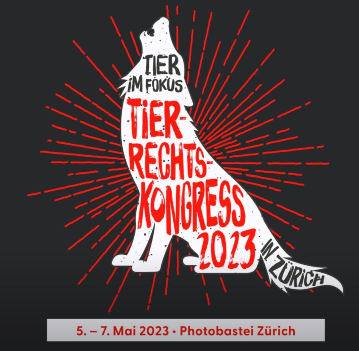 photobastei's tweet photo. Die Photobastei im Zeichen der Tierrechte: Ausstellungseröffnung Hidden - Tiere im Anthropozän und ab Freitag der Tierrechtskongress! Mehr Infos: https://t.co/bzGKfPatUA https://t.co/vTNOihzx9z