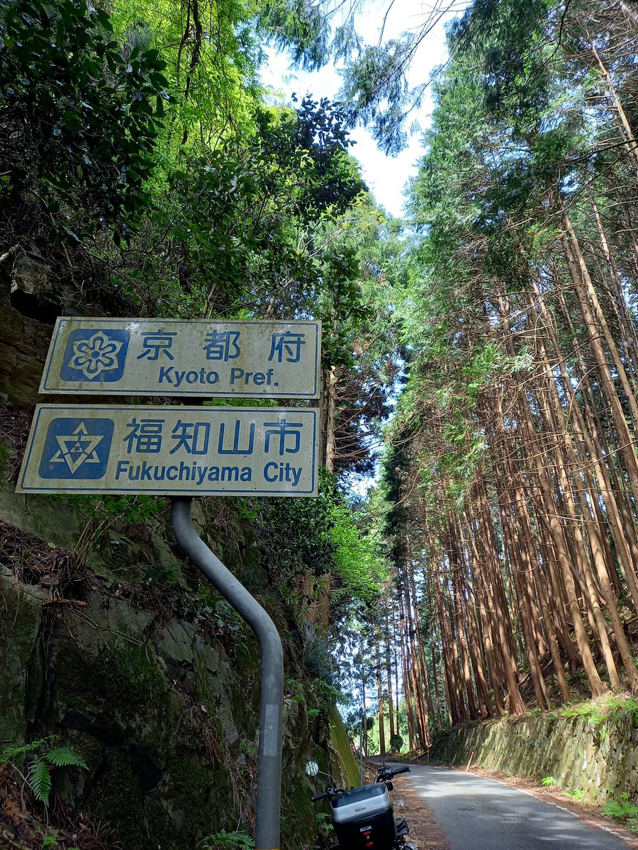midori09_u's tweet photo. はい
京都に入りましたぁ🌲🌲
木漏れ日の中
バイク楽し~い🎶
ココデ🤳トリタカッタ ✨️
#R429 https://t.co/6ZjMZS0vOm