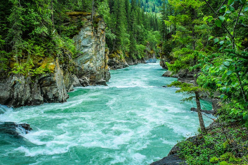 Nature_Status1's tweet photo. Let the soothing sound of the flowing river take you on a journey through the breathtaking forest 🌳🌊💚 Feel the cool breeze and immerse yourself in nature's embrace. This is the escape you need. #NatureIsCalling #ForestFlow #RiverRelaxation 🍃🌿🌲 https://t.co/AWGJ9Hi1gA