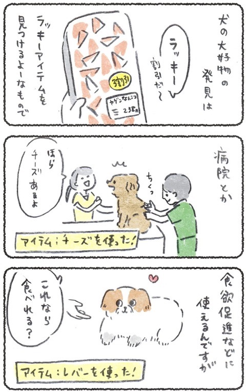 特別な食べ物はこつぶの苦痛をなくすアイテムになりました❤️(1/2) 