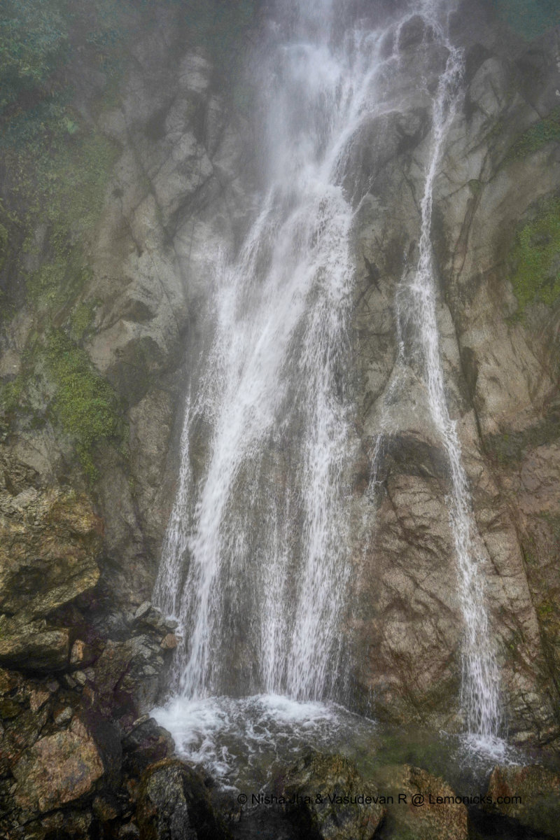 You can't say no to Bhalukpong. Orchids, waterfall, National park &amp; Tiger reserve etc
bit.ly/3JomlEy

#travel #ThingsToDoInBhalukpong #GoNEindia #HolidayScout #ArunachalPradesh #northeastindia #DekhoApnaDesh
<a href="/TheHolidayScout/">Holiday Scout</a>  <a href="/ArunachalTsm/">Arunachal Tourism</a> <a href="/MyGovArunachal/">MyGov Arunachal Pradesh</a> @GoArunachal_