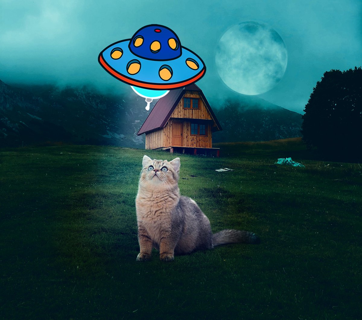 MdAlifh43091716's tweet photo. 'cat' photoshop editing
If you need any photoshop editing
check my bio link
#photoediting #photoshop #masking #clippingpath #cutout #filter #effect #photoretouching #lighteffect #manipulation #cat #alien #hut
@fiverr https://t.co/3oSTXIkJ1Q