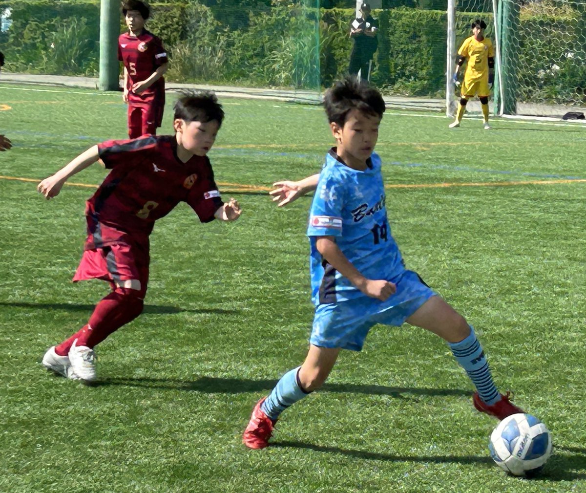 nikkan_event1's tweet photo. ⚽️JA全農杯全国小学生選抜サッカー決勝大会⚽️🍜
【速報】グループD
#バディーSC(神奈川) 6🆚0 #DENOVA (北海道)
#チビリンピック #チビリンサッカー #全農
#日刊スポーツ https://t.co/pOhqPtMYHS