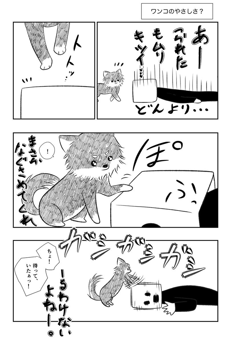 ワンコといると超楽しい

#エッセイ漫画
#チワワのいる暮らし https://t.co/cQD0oXHSo4