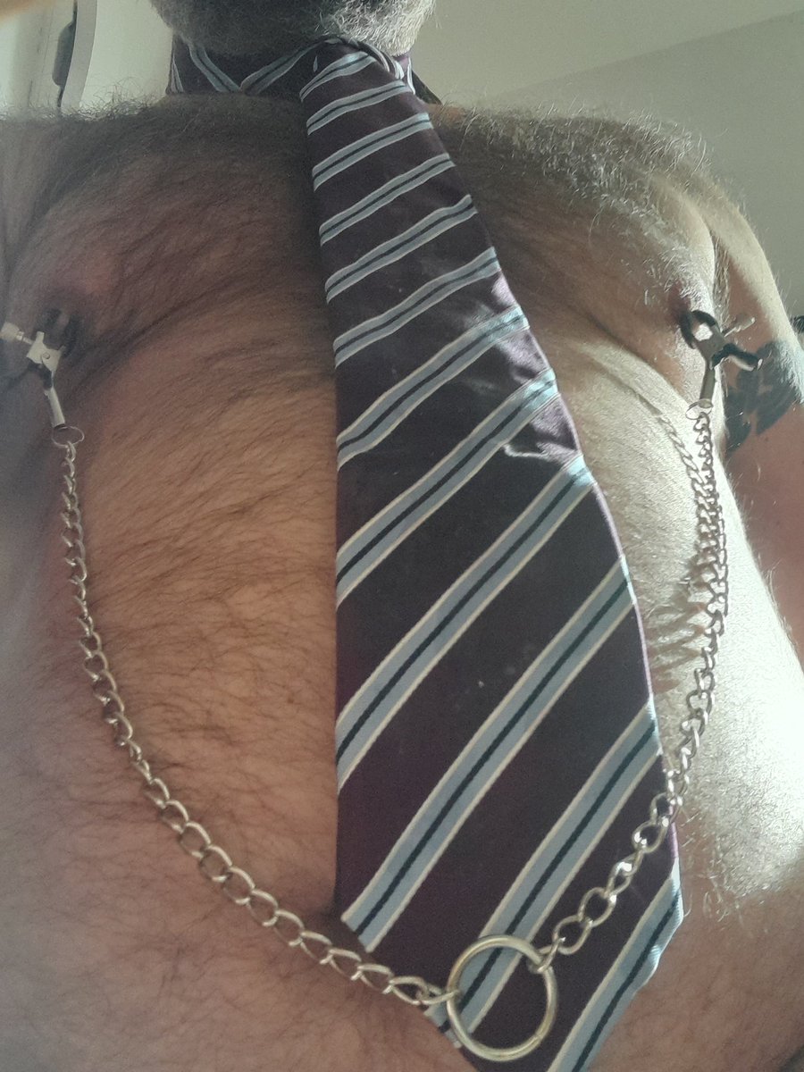 SuitBear 13.2k (@suitbear5) on Twitter photo 