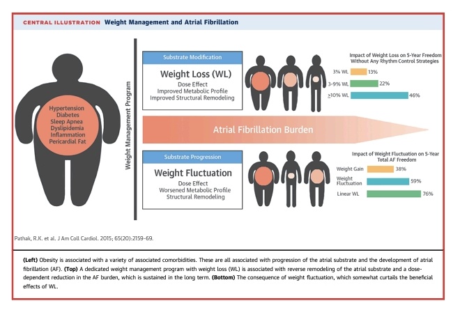 Dr Rani Khatib FESC tweet media