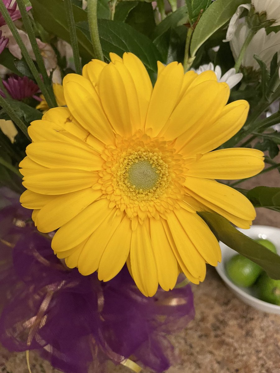 uvindexink's tweet photo. Fresh flowers from my E is my bday smile. #birthday #gift #flowers #flowerlove #son #poetry #beauty #art #limes https://t.co/WVHGmRFns2