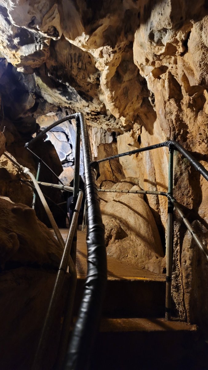 UnityLilac's tweet image. 