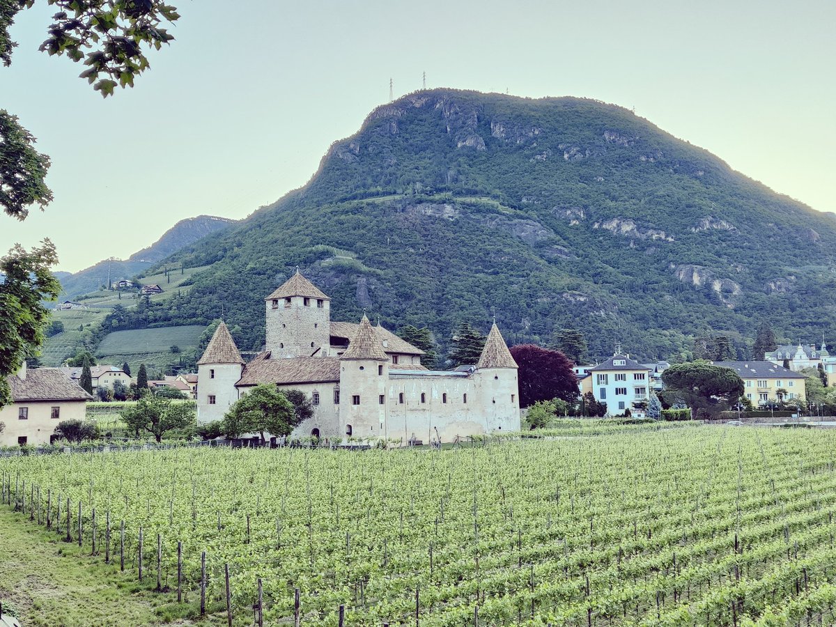 Early run in #Bozen, rewarded with quite the views! Excited for <a href="/EuseaEvents/">EUSEA - European Science Engagement Association</a>  #eusea23 today!!! #scicomm