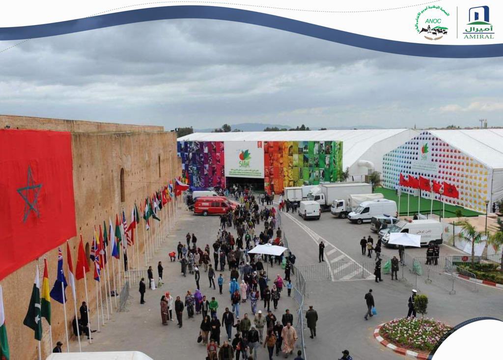 Alanammodelcity's tweet photo. ضمن مشاركة شركة أميرال مع الجمعية الوطنية للأغنام والماعز (أنوك)
المعرض الدولي للفلاحة #المغرب
@MahdiBaladi11
 #المعرض_الدولي_للفلاحة 
#SIAM_Maroc2023 #SalonInternationalAgriculture #Meknès #Maroc #Agriculture 
 #مكناس
#المعرض_الدولي_للفلاحة
#الفلاحة #Fraskom #NewsUpdate https://t.co/bmK7mPDsJ9