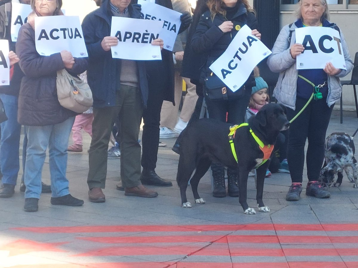 Arreu del país i més enllà de les nostres fronteres ens vam alçar per dir:

ACTUA
RESISTEIX
APRÈN
DESAFIA
ARA‼️

Continuem alçats!

#FreeAssangeNow
#DontExtaditeAssange
#LlibertatDePremsa
#PressFreedomDay