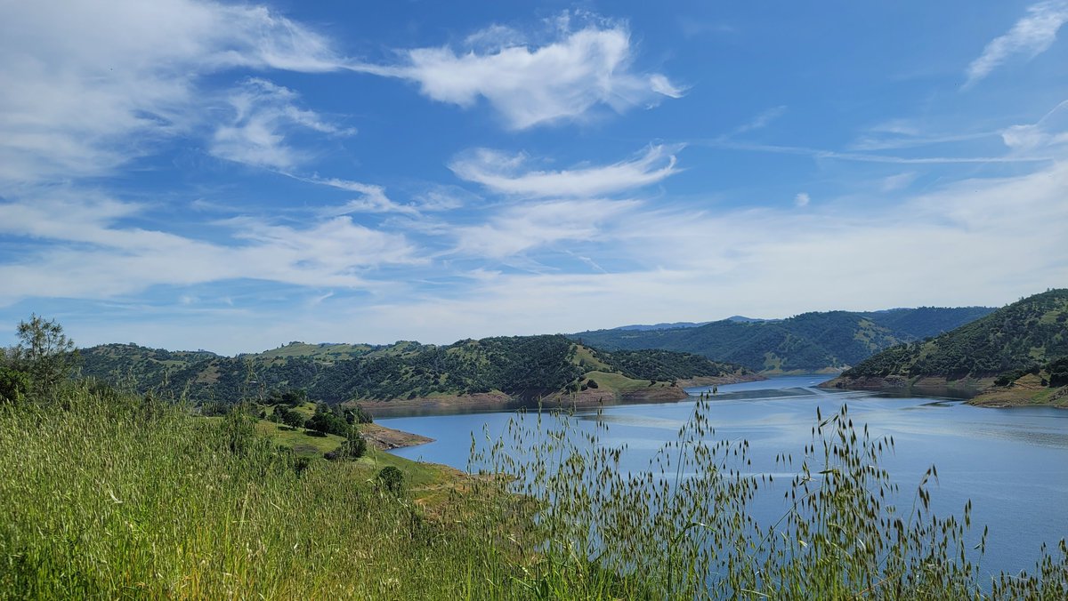 UnityLilac's tweet image. 