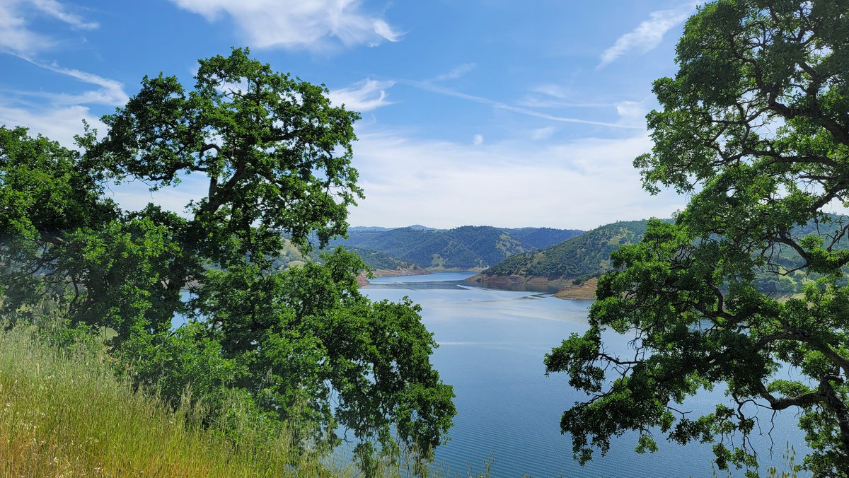 UnityLilac's tweet image. 