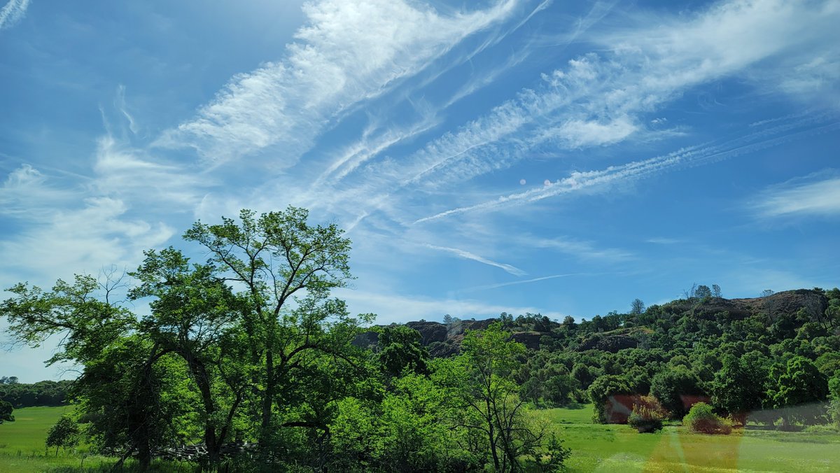 UnityLilac's tweet image. 