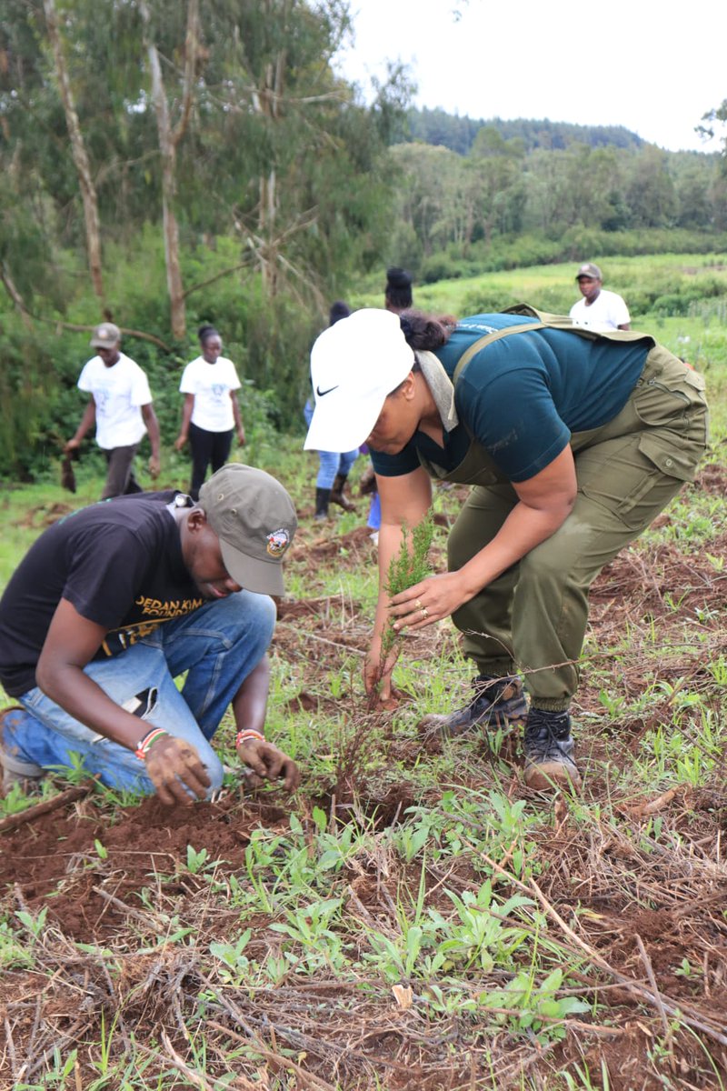 Karasinga3's tweet photo. At first I thought I was fighting to save rubber trees, then I thought I was fighting to save the Amazon rainforest. Now I realize I am fighting for humanity.
#EnvironmentalJustice  #environment2023 #dkenvironmentteam https://t.co/sCBgvnsn8V