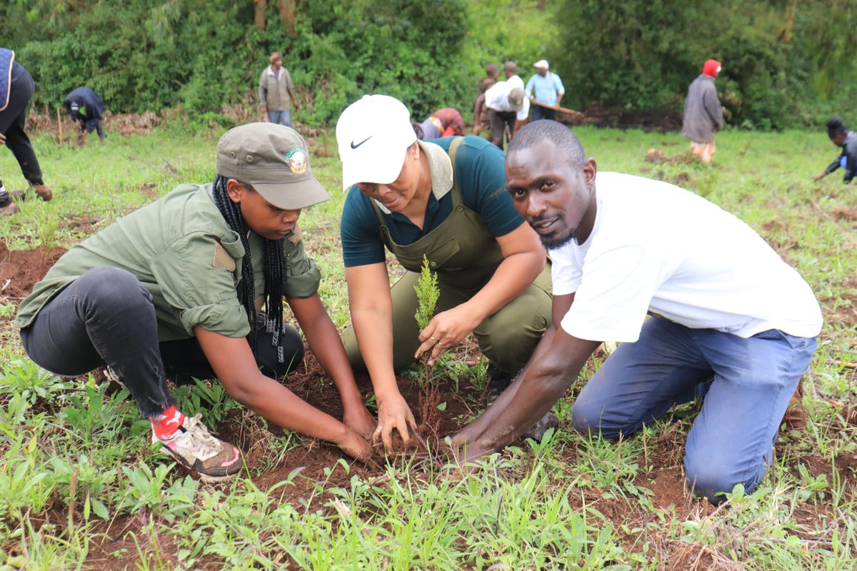 Karasinga3's tweet photo. At first I thought I was fighting to save rubber trees, then I thought I was fighting to save the Amazon rainforest. Now I realize I am fighting for humanity.
#EnvironmentalJustice  #environment2023 #dkenvironmentteam https://t.co/sCBgvnsn8V
