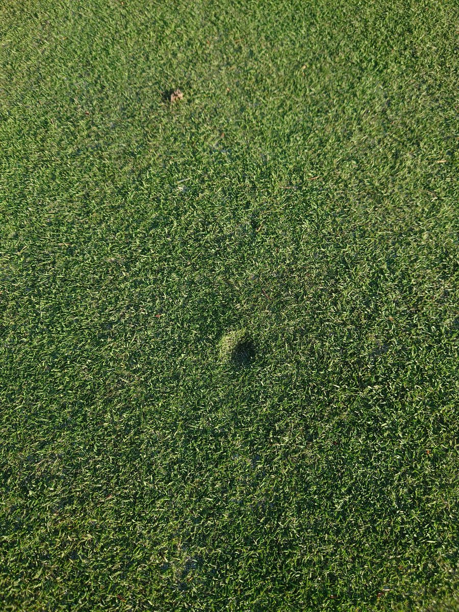 Course open. Preferred lies are no longer allowed.
There are still far too many unrepaired pitchmarks!! I certainly wouldn't like to be putting over them... Please be considerate to your fellow members... If you can't find your one... At least repair any others you see..