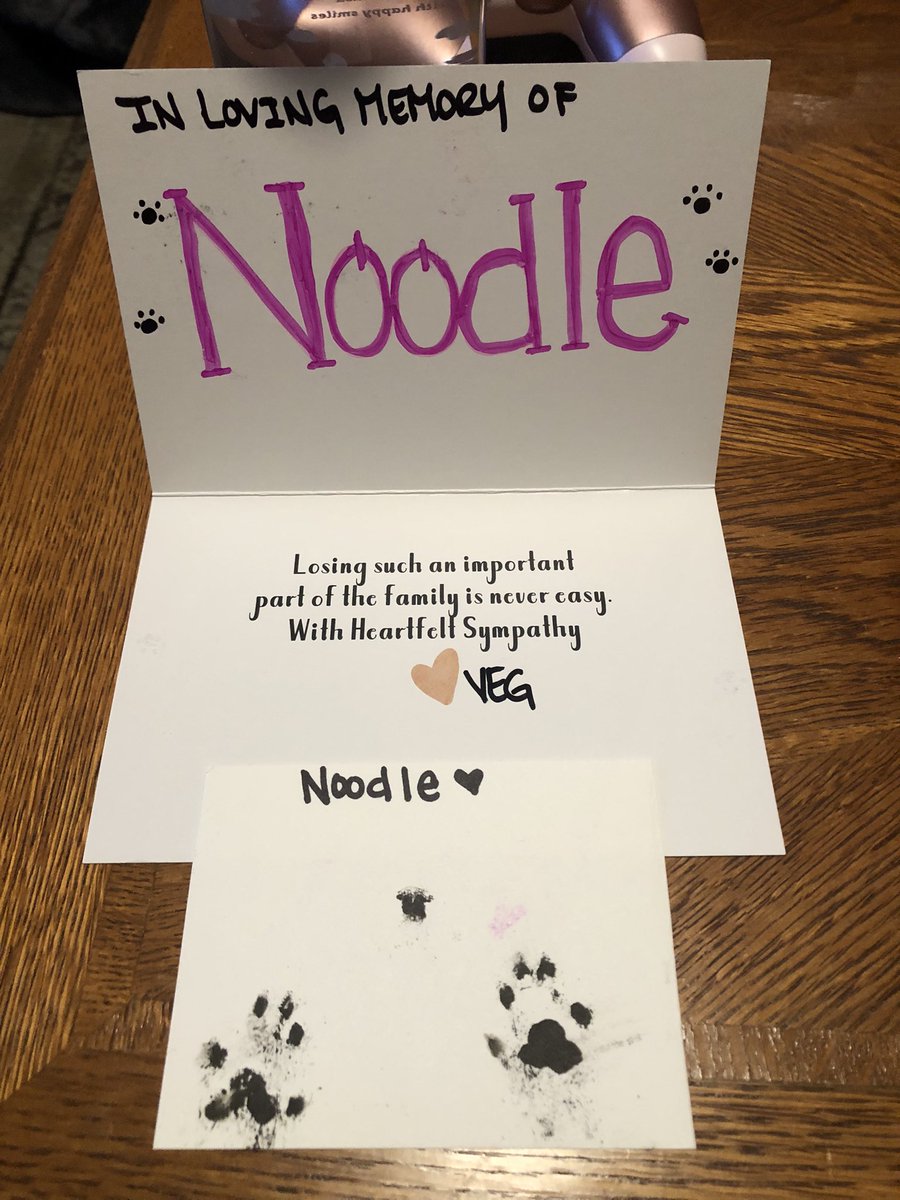 Noodlefrrtgrl's tweet photo. Today ended on a very difficult note, as we received this from the emergency vet clinic unexpectedly. Each day that passes feels as hard as the last and it feels so empty and quiet without her. Her birthday is next week. I’ll be posting a lot of pictures and videos of Noodle soon https://t.co/OxEzhYrScz