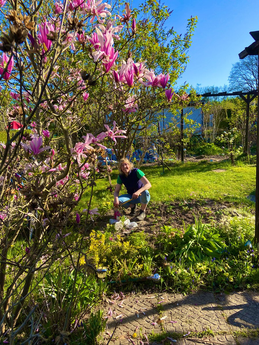 Raus aus der Stadt #gartenzeit #endlich #blüh #gärtnern