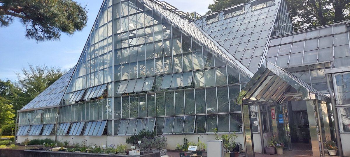 牡丹 (@botan_tuner) on Twitter photo 