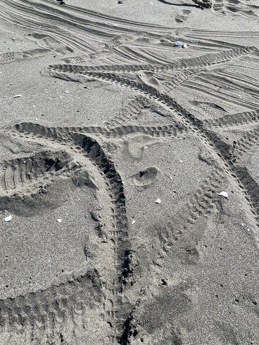 MeA811986's tweet photo. 地元、網走の海

意外と車椅子でも動けます。
鮭釣りしたいなー https://t.co/z0vCLm5JJB