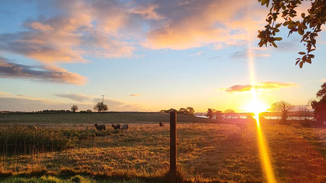 ๐๐๐๐๐๐๐ ๐
๐๐๐ tweet media