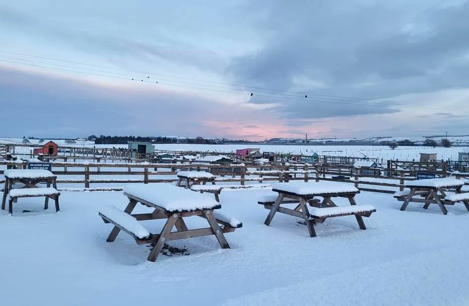 ๐๐๐๐๐๐๐ ๐
๐๐๐ tweet media