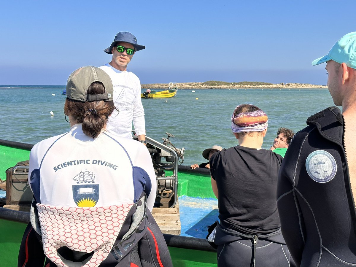 Maritime Archaeology tweet media