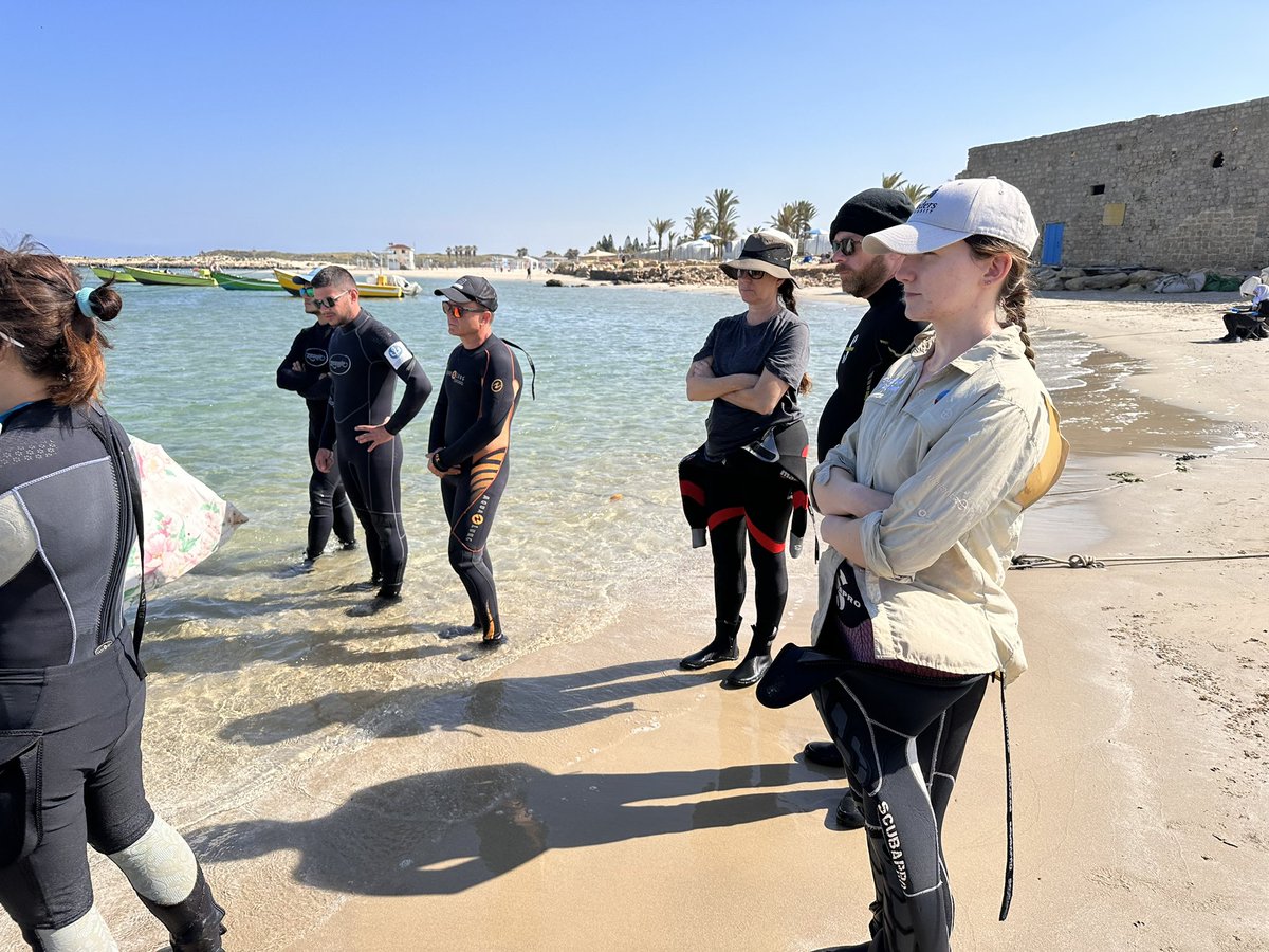 Maritime Archaeology tweet media