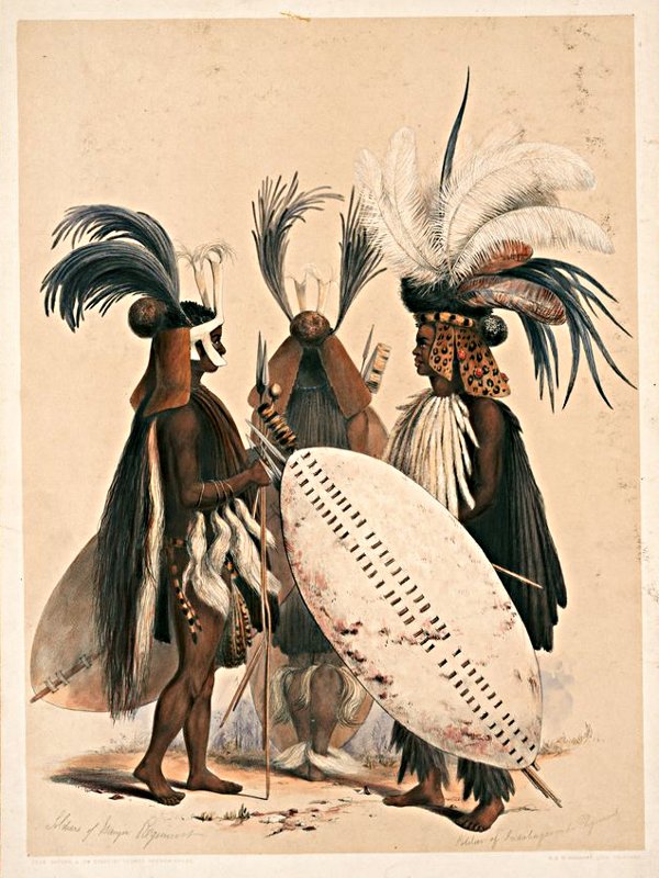 7. Below the elbows the chief tied izigetsho. These are made from white hairy goat skins. Below the knees the chief tied the same long goat hair skin, which was called amadloli. The black colour is generally not accepted.