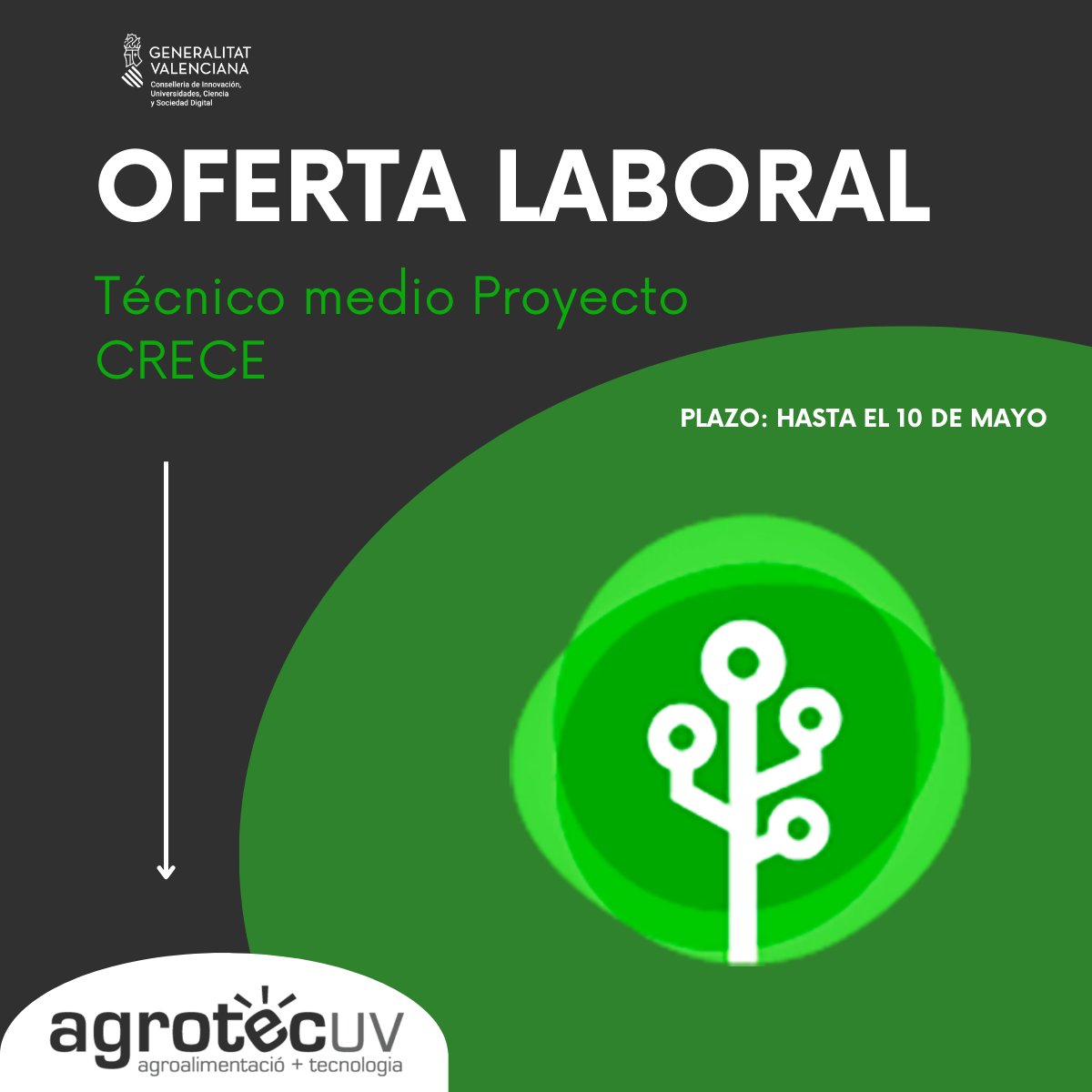 🟢| #OfertaLaboral 
AgrotecUV abre el plazo para presentar solicitudes al puesto de Técnico medio del Proyecto CRECE 2023.

💡En el maco de colaboración con @GVAinnova.

📅Plazo: Hasta el 10 de mayo.

Oferta⬇️
bit.ly/2Ypgi8l